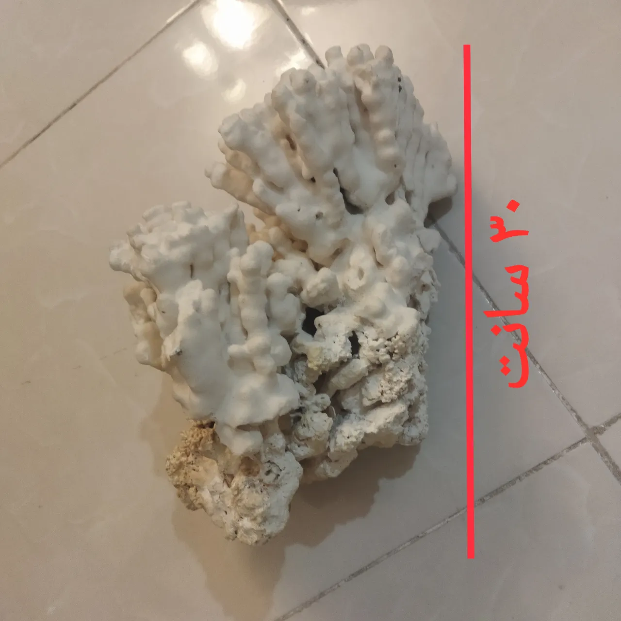 آکواریوم شیشه خم شرکتی با در شیشه ای — تصویر ۶