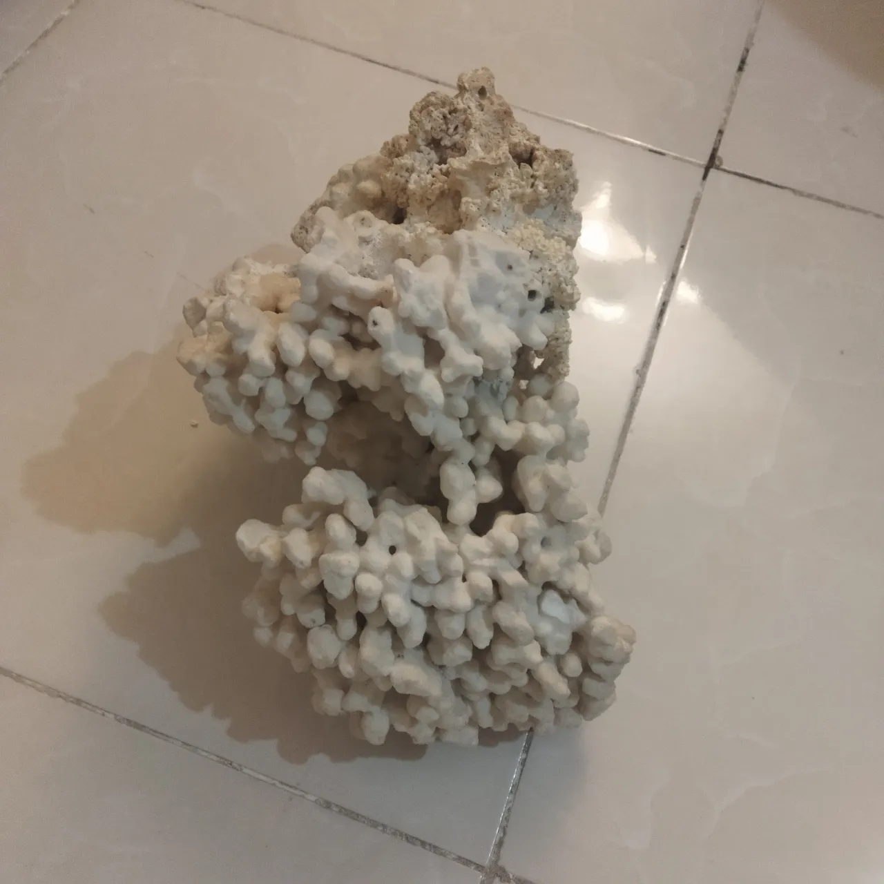 آکواریوم شیشه خم شرکتی با در شیشه ای — تصویر ۸