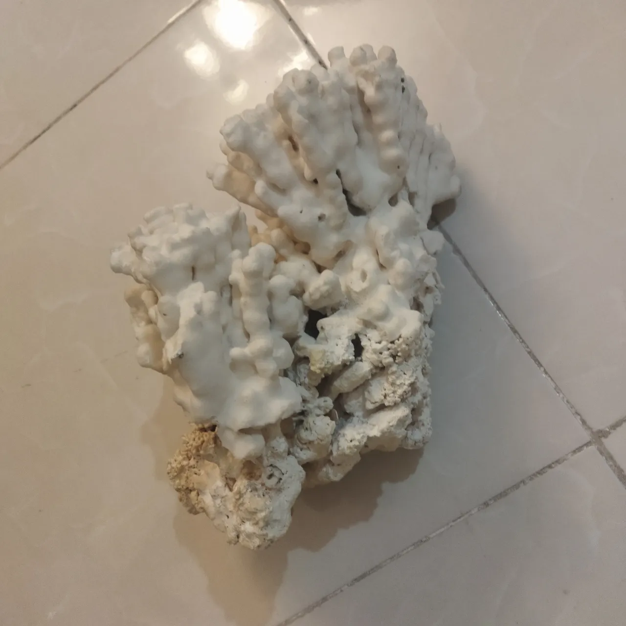 آکواریوم شیشه خم شرکتی با در شیشه ای — تصویر ۷
