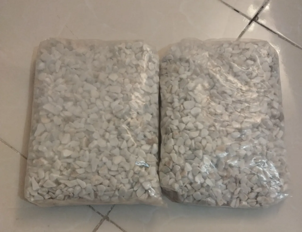 آکواریوم شیشه خم شرکتی با در شیشه ای — تصویر ۹